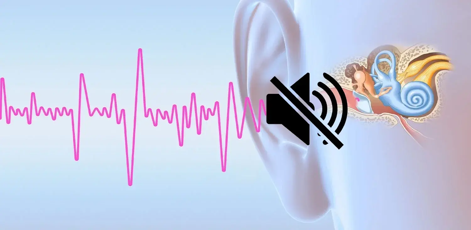 Reference material from the user-supplied source code Source-code hearing education visual